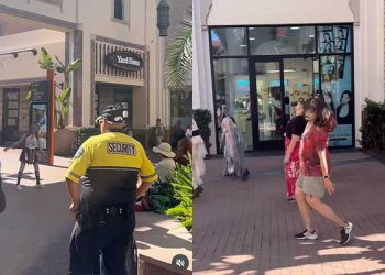 어바인 스펙트럼 쇼핑몰, ‘스릴러’ 플래시몹 제지 논란…“과도한 반응”